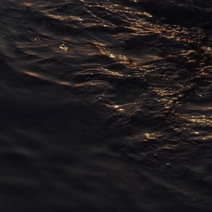 嫩草影院发布页
