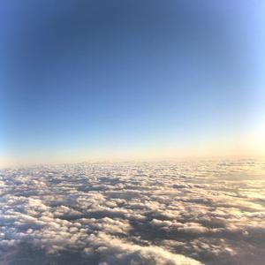 嫩草影院发布页
